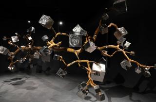 Hóa Thân 241 - Metamorphosis 241