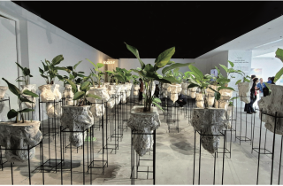 Nghệ thuật liên phương tiện (Intermedia Art) và các thực hành ở Việt Nam